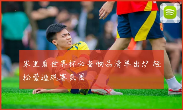 家里看世界杯必备物品清单出炉 轻松营造观赛氛围
